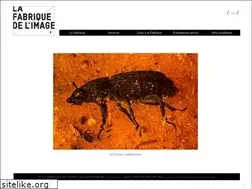 Sites similar to fabrique-image.fr