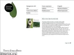 Sites similar to fabriziagianni.it