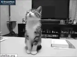 Sites similar to factur.org