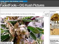Sites similar to fadedfools.com