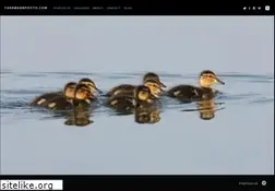 Sites similar to fahrmannphoto.com