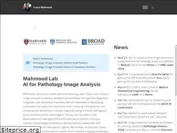 Sites similar to faisal.ai