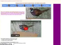 Sites similar to faisans.info