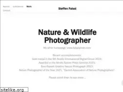 Sites similar to faisst.eu