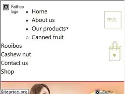Sites similar to faithco.com.hk