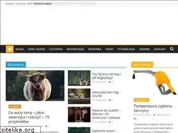 Sites similar to faktysatakie.pl