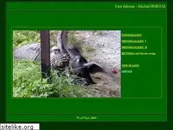 Sites similar to falcons.cz