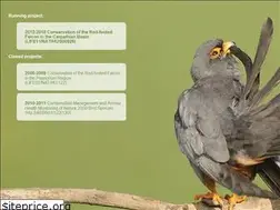 Sites similar to falcoproject.eu