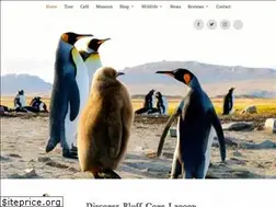 Sites similar to falklandpenguins.com
