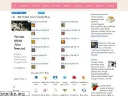 Sites similar to fallar.gen.tr