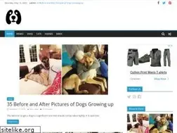 Sites similar to fallinpets.com