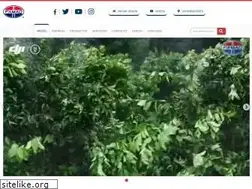 Sites similar to famaq.com.mx