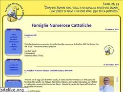 Sites similar to famiglienumerosecattoliche.it