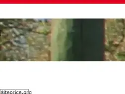 Sites similar to familienbuendnis-zews.de