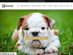 Sites similar to familybulldog.com