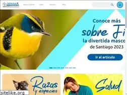 Sites similar to fanaticosdelasmascotas.cl