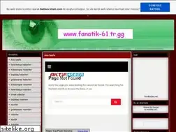 Sites similar to fanatik-61.tr.gg