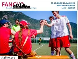 Sites similar to fancup.it