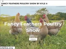 Sites similar to fancyfeatherstx.org