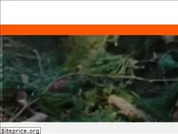Sites similar to fapsiz.ru