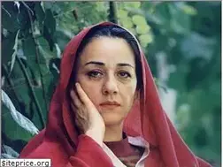 Sites similar to farahossouli.com