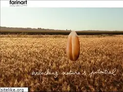 Sites similar to farinart.com