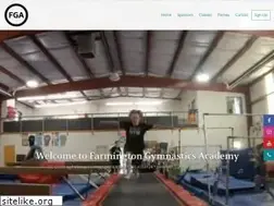 Sites similar to farmingtongymnasticsacademy.com