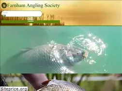 Sites similar to farnhamanglingsociety.com