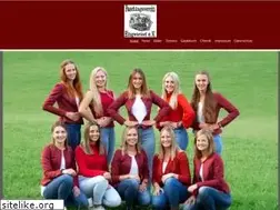 Sites similar to faschingsverein-engetried.de