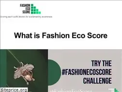 Sites similar to fashionecoscore.com