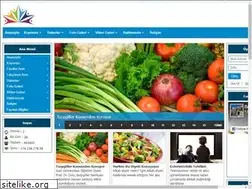 Sites similar to fasillarkoyu.com