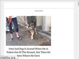 Sites similar to fastbuy.today