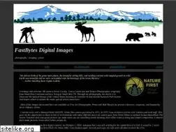 Sites similar to fastbytes.net