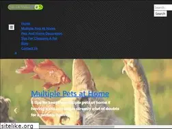 Sites similar to fatcatvideo.net