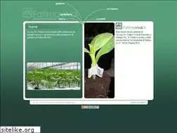 Sites similar to fatimavivai.it