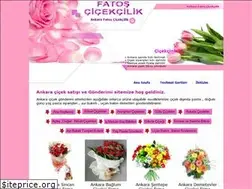 Sites similar to fatoscicek.com