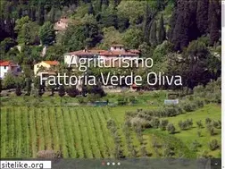 Sites similar to fattoriaverdeoliva.com