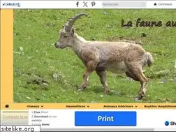 Sites similar to faunealpine.canalblog.com