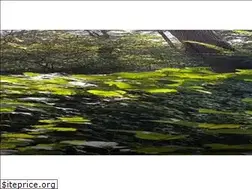 Sites similar to favieres77.fr