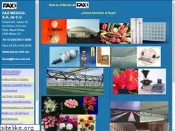 Sites similar to faxsa.com.mx