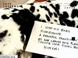 Sites similar to fayefayerman.com