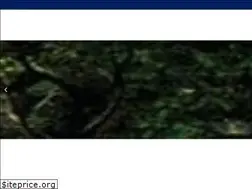 Sites similar to fayev.com