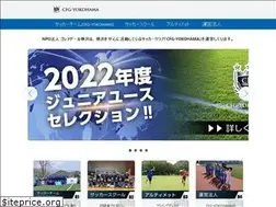 Sites similar to fc-goleador.com