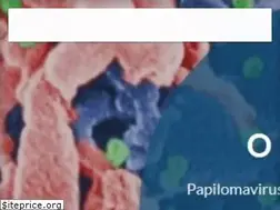 Sites similar to fcfar.unesp.br