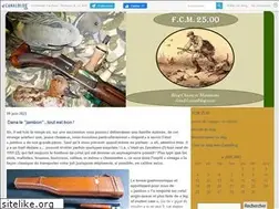 Sites similar to fcm25.canalblog.com