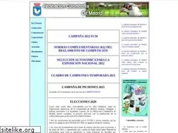 Sites similar to fcmadrid.com