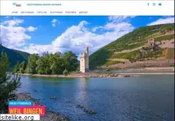 Sites similar to fdp-bingen.de