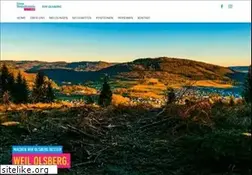 Sites similar to fdp-olsberg.de