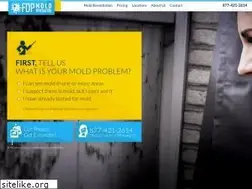 Sites similar to fdpmoldremediation.com