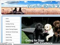 Sites similar to featherranch.com